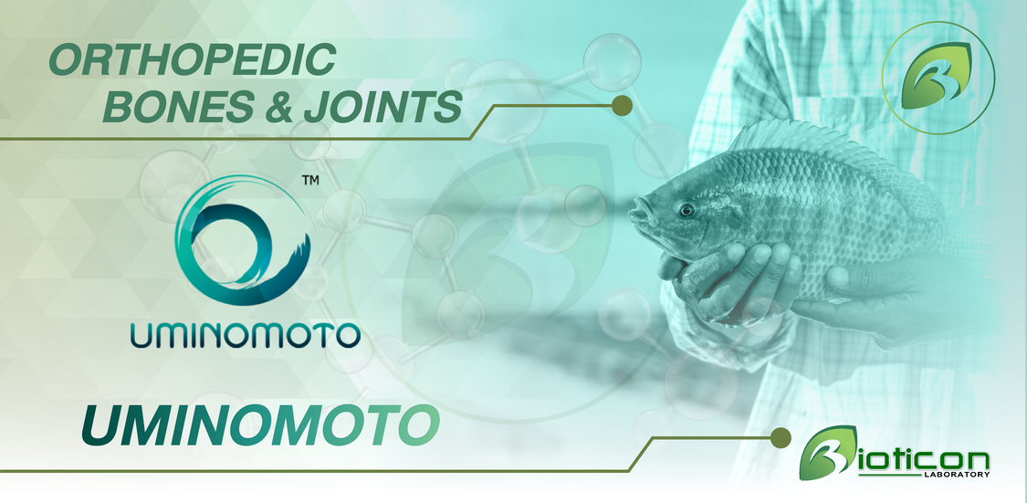 10. UMINOMOTO