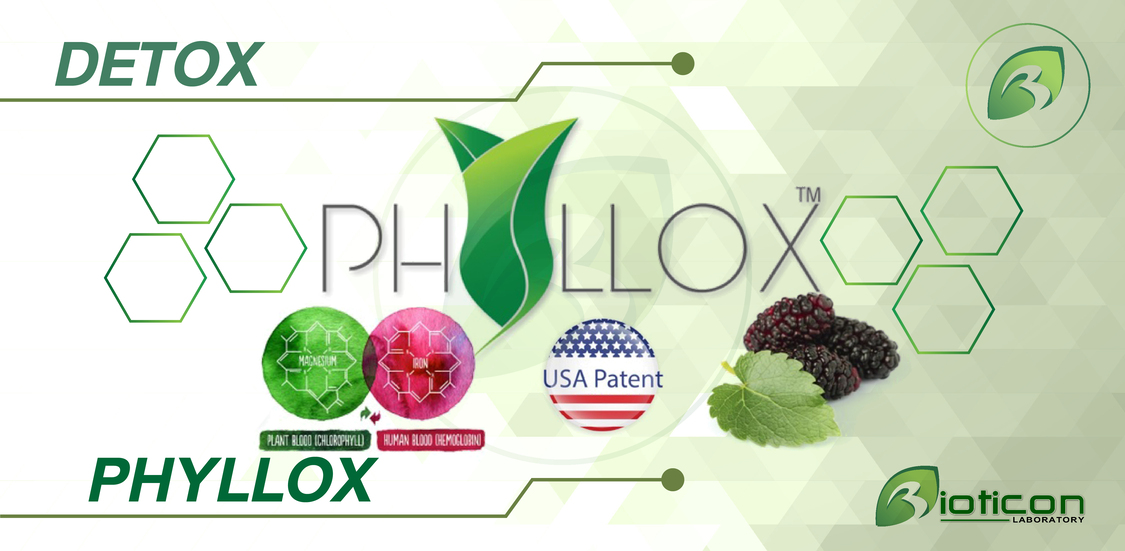 1. PHYLLOX