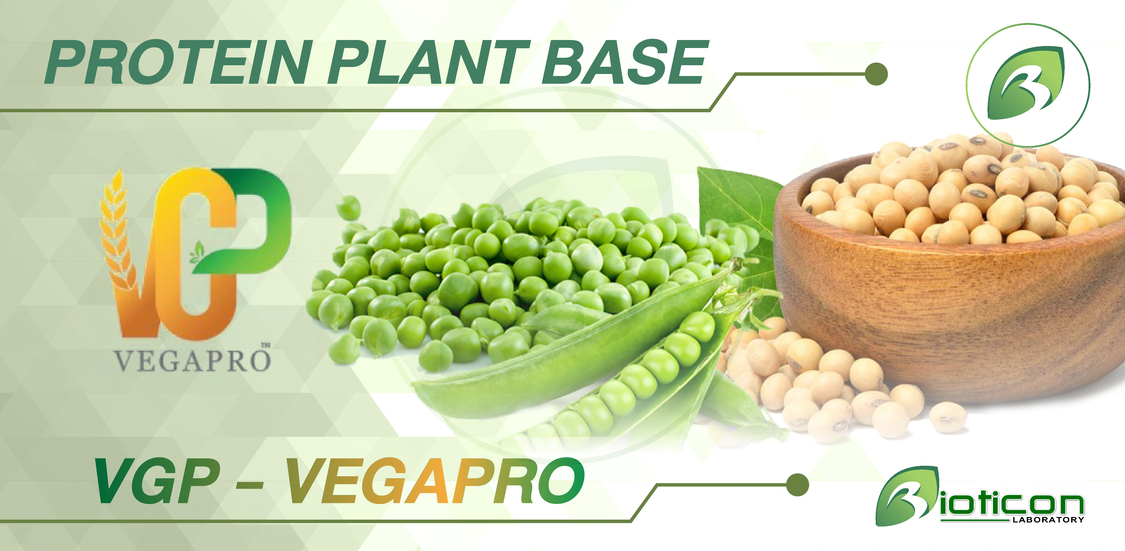 2. VGP - VEGAPRO