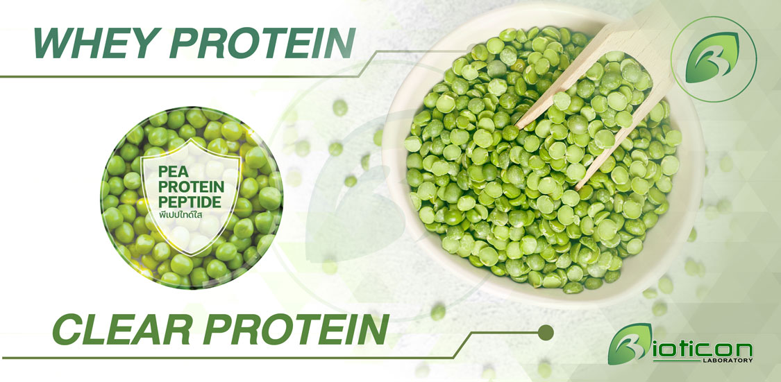 1. CLEAR PROTEIN