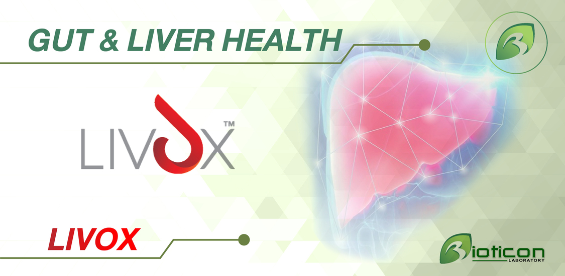 3. LIVOX