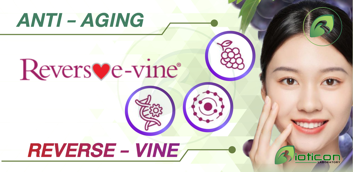 3. REVERSE - VINE