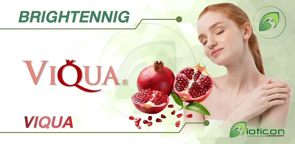 3. VIQUARA