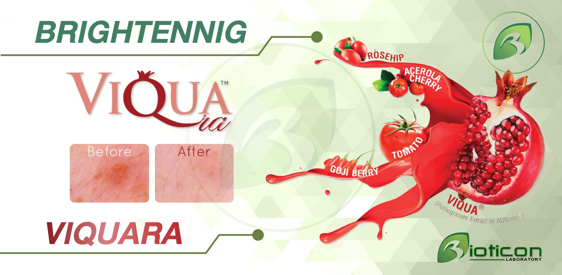 2. VIQUA