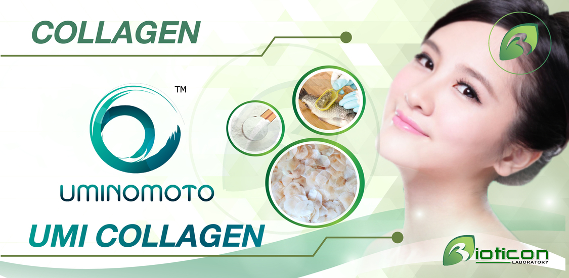 5. UMI COLLAGEN