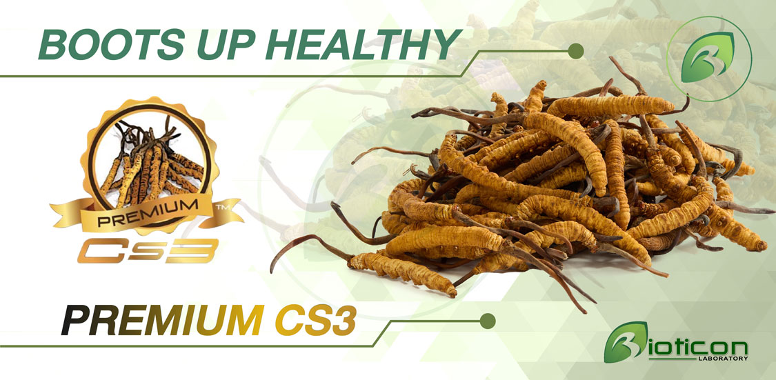 1. PREMIUM CS3